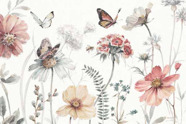 Lisa Audit Designs Lisa Audit Designs