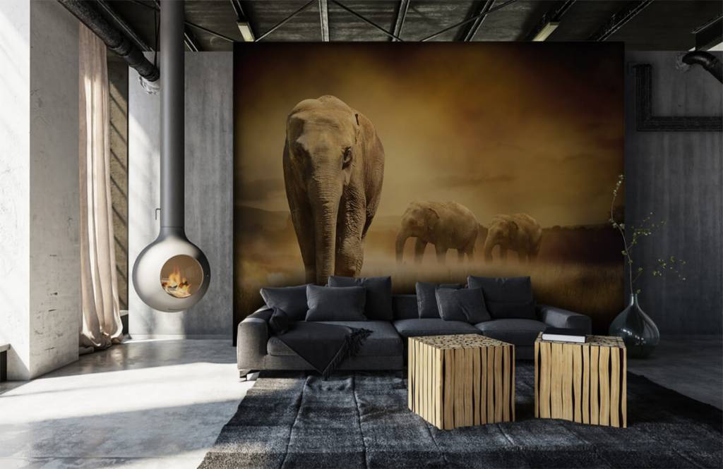 Animaux - Trois éléphants - Chambre d'adolescent 1