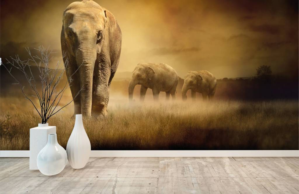 Animaux - Trois éléphants - Chambre d'adolescent 3