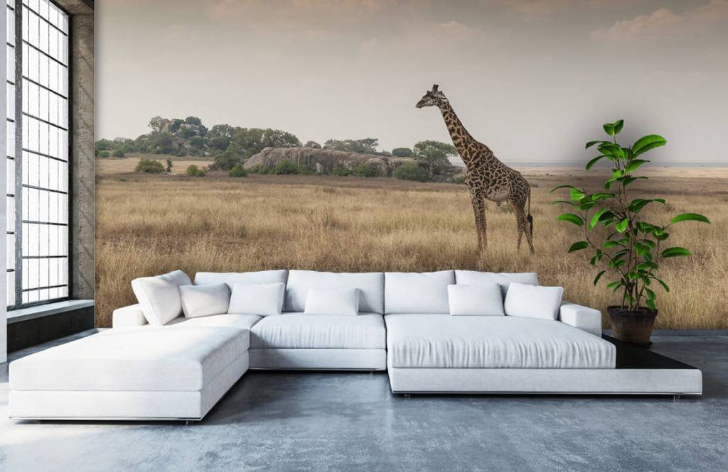 Animaux - Girafe dans la savane - Chambre à coucher 1