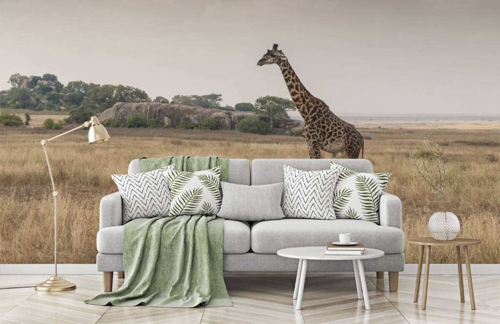 Animaux - Girafe dans la savane - Chambre à coucher 3