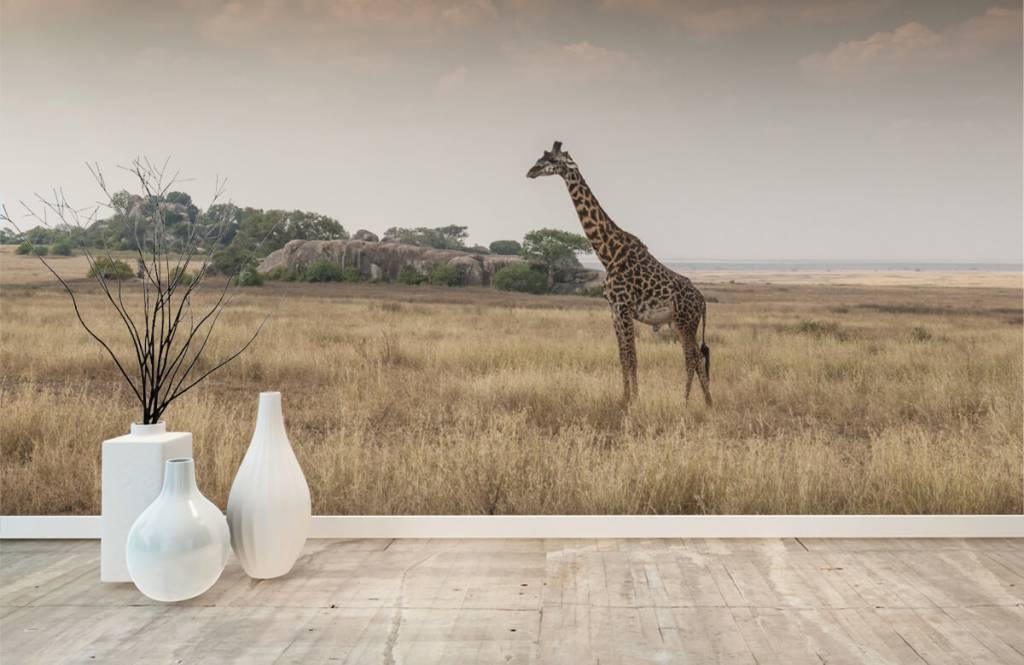Animaux - Girafe dans la savane - Chambre à coucher 4