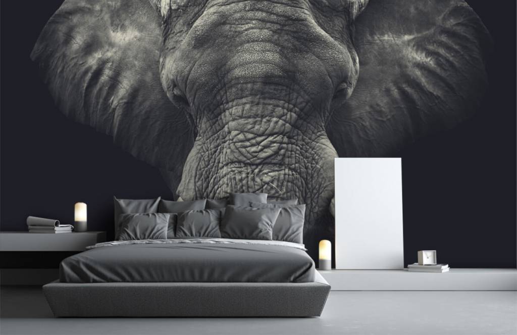 Éléphants - Gros plan sur un éléphant - Chambre à coucher 1