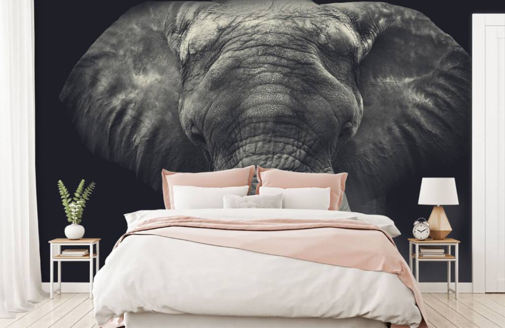 Éléphants - Gros plan sur un éléphant - Chambre à coucher 2