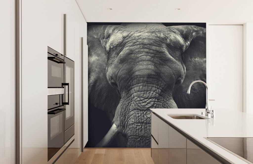 Éléphants - Gros plan sur un éléphant - Chambre à coucher 3