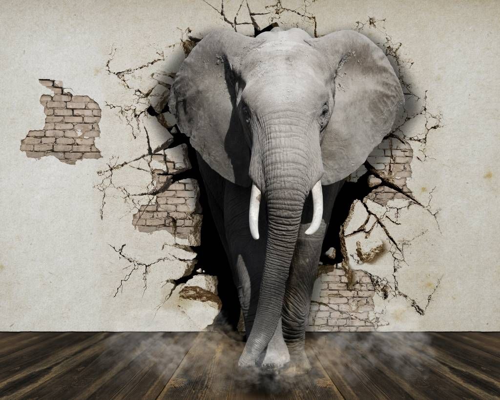 L'éléphant en 3D depuis le mur