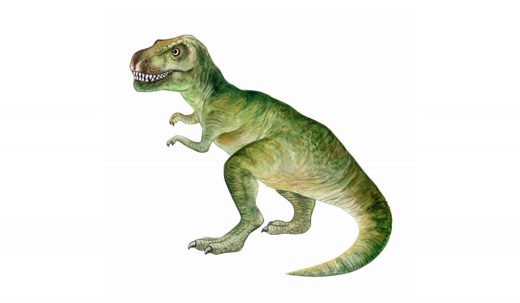 Tyrannosaure d'aquarelle