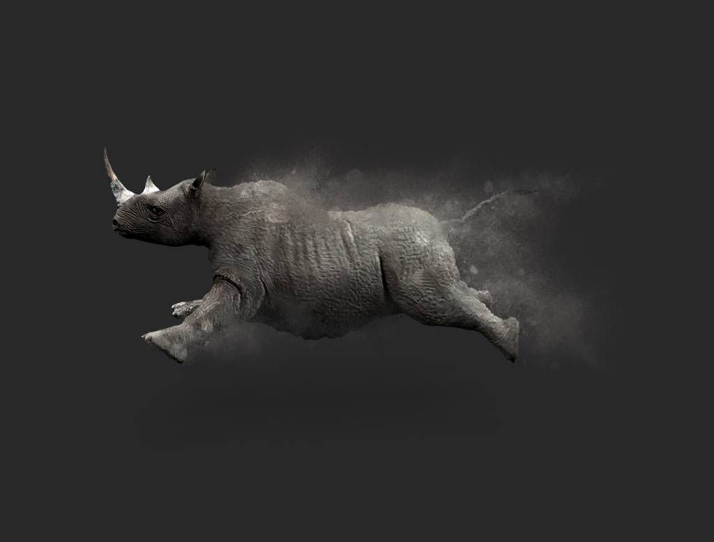 Rhinocéros sauteur