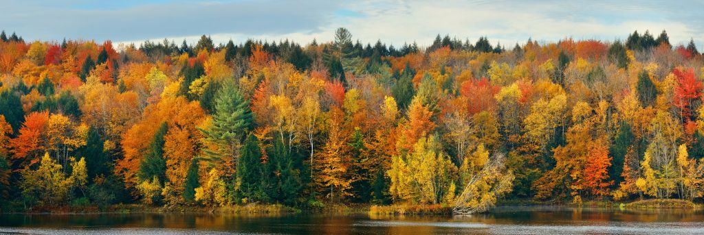 Lac avec arbres d'automne