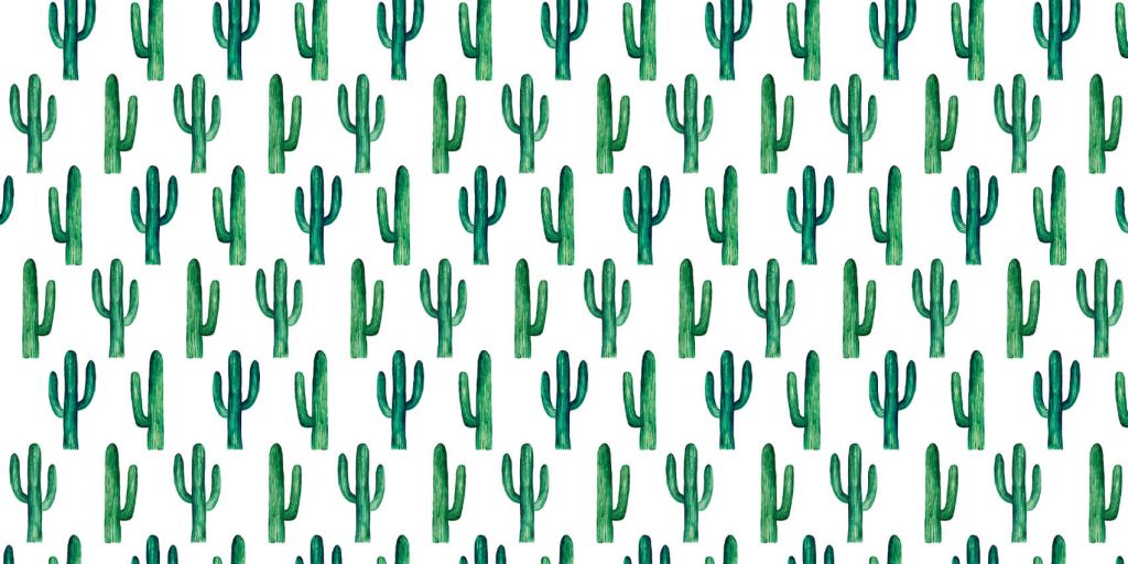 Modèle de cactus