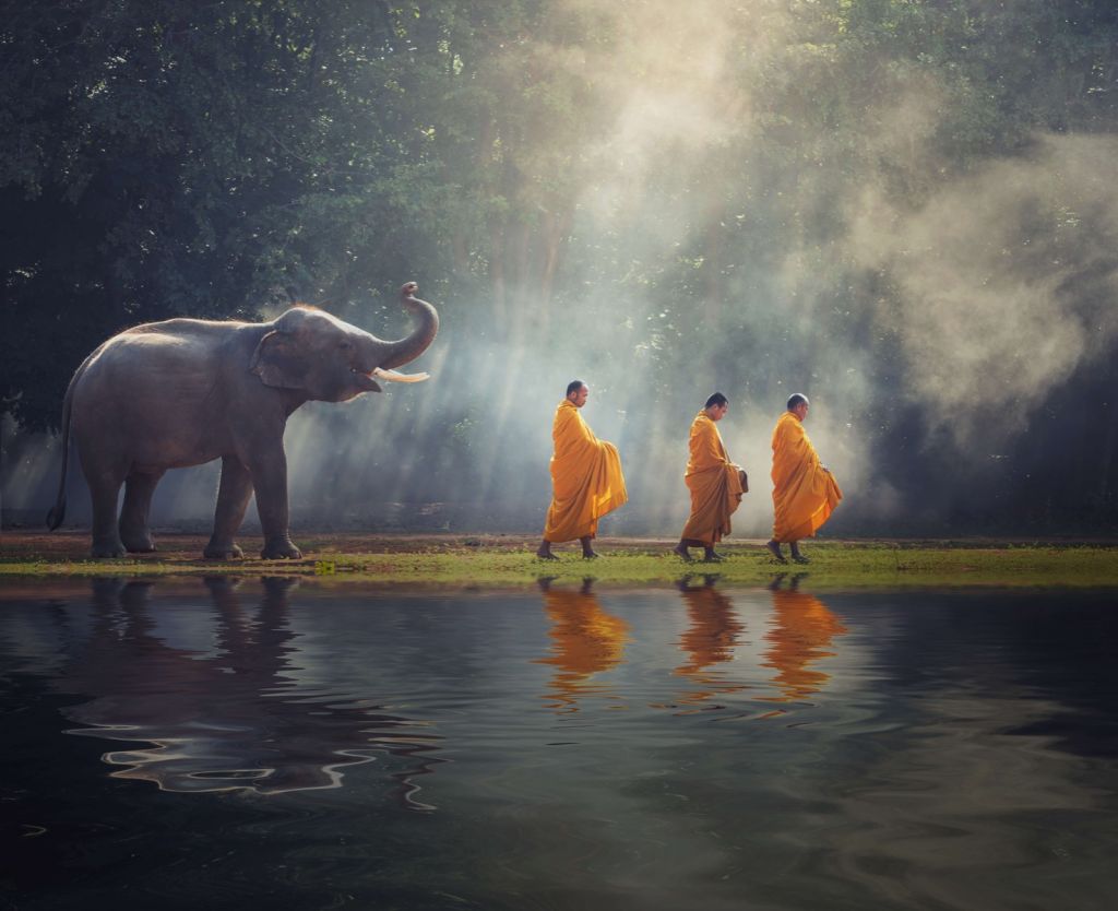 Eléphant et bouddhistes