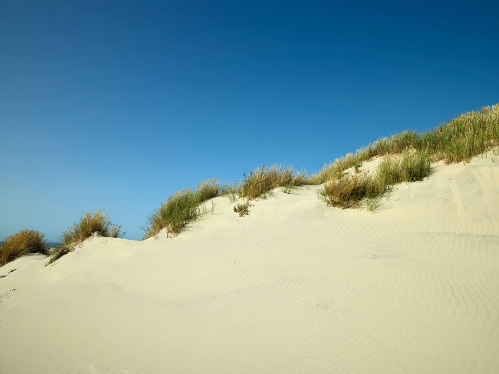 Dunes avec ciel bleu