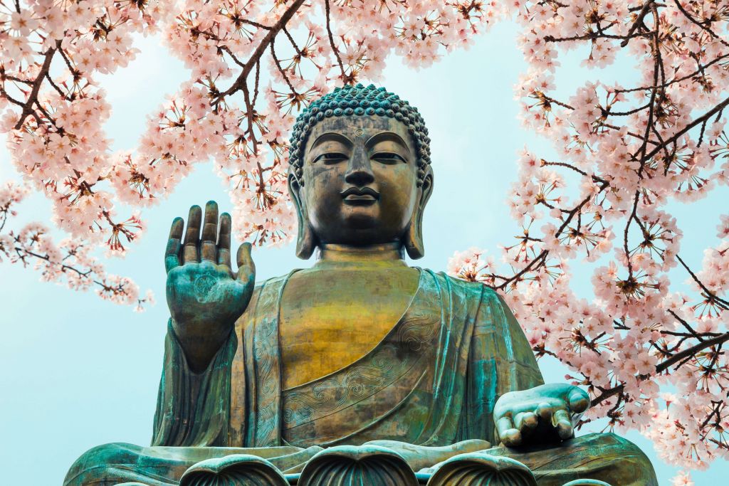 Bouddha entouré de fleurs de cerisier