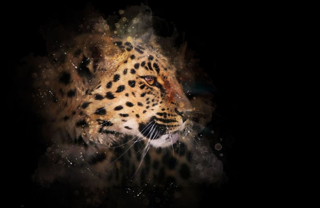 Peinture d'un léopard