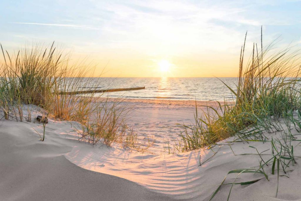 Plage de dunes avec coucher de soleil