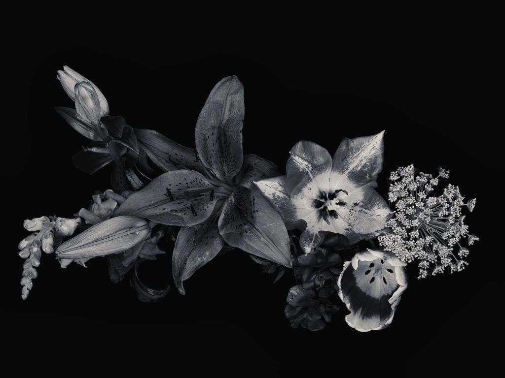 Composition de fleurs noir et blanc