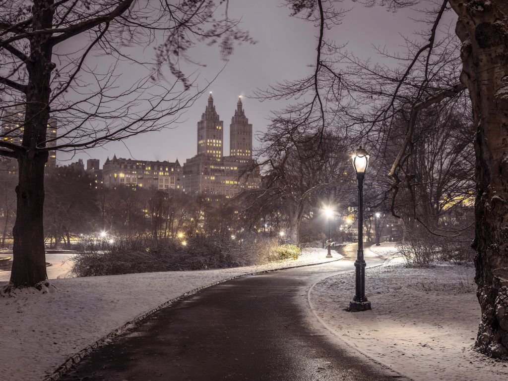 Central park couvert de neige