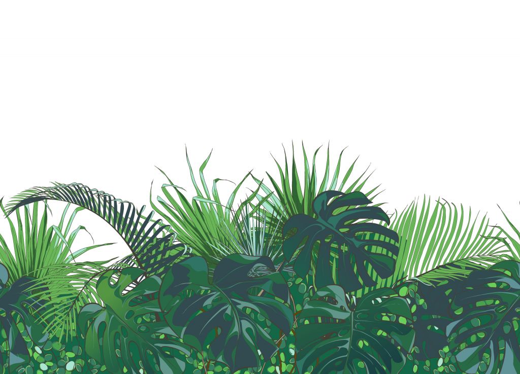 Palmiers tropicaux
