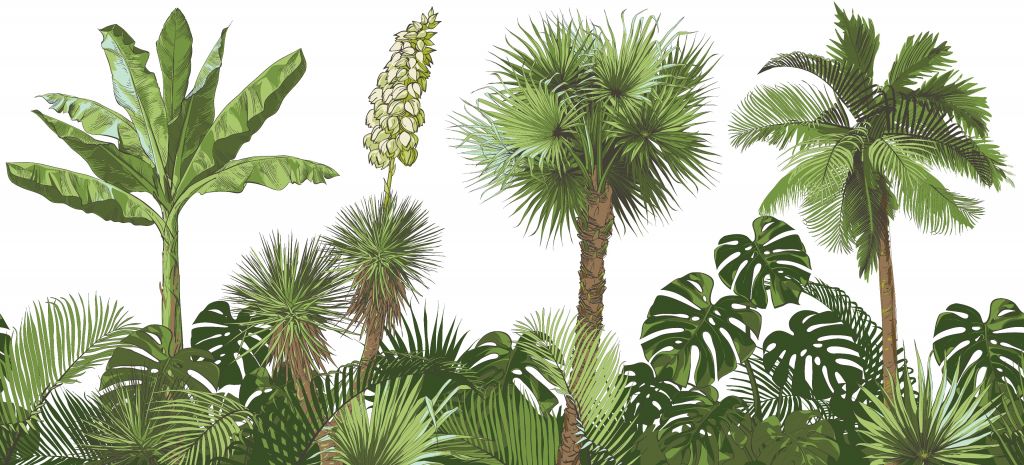Plantes tropicales vertes