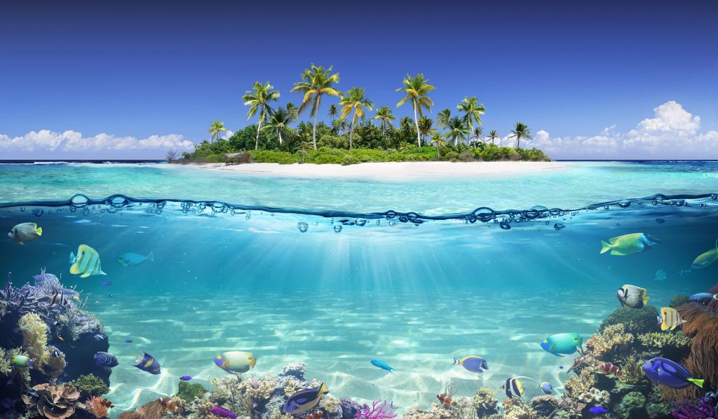 Île tropicale et récif corallien