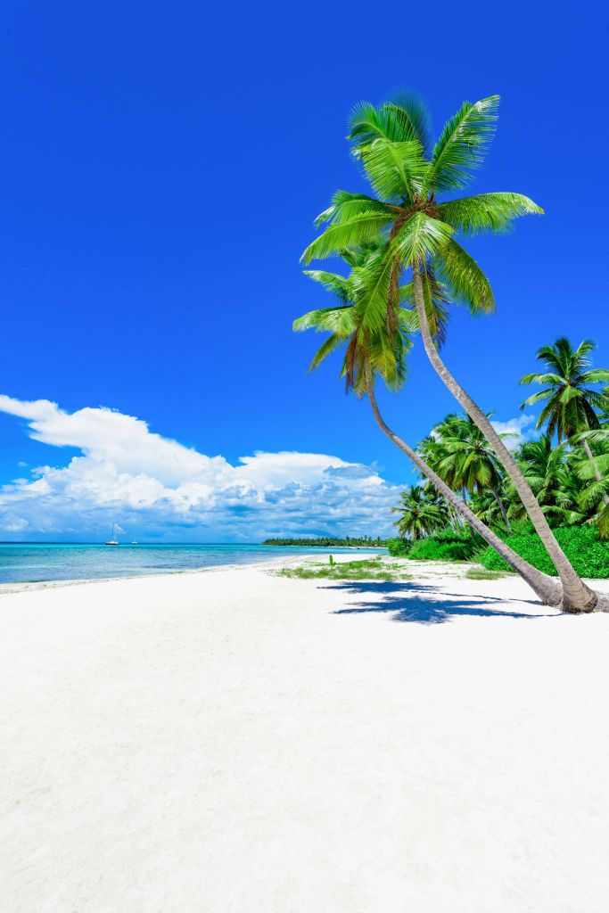 Une plage tropicale paradisiaque