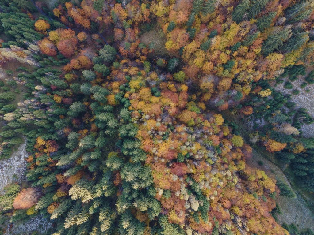 Paysage d'automne vu d'en haut
