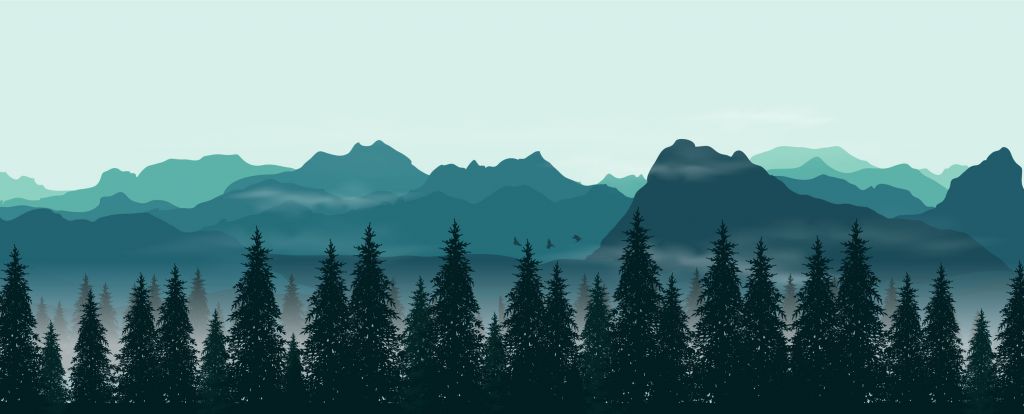 Illustration de la forêt