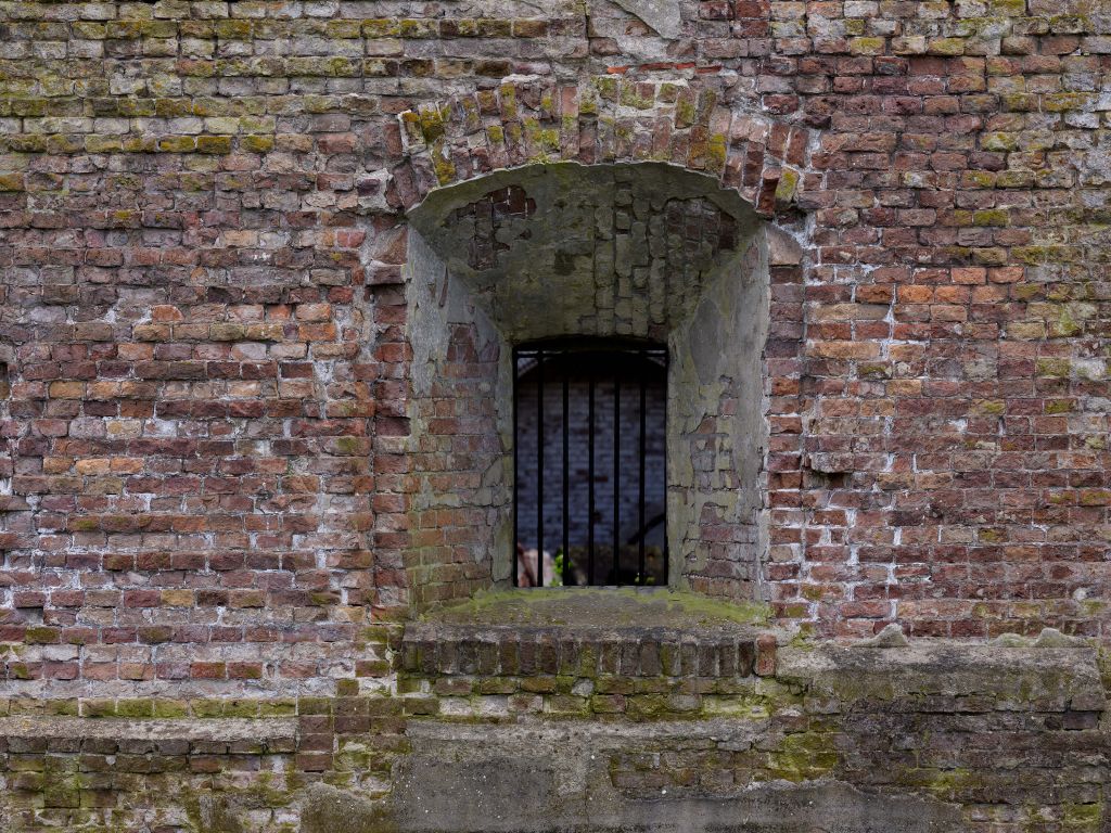 Encastrement dans un vieux mur