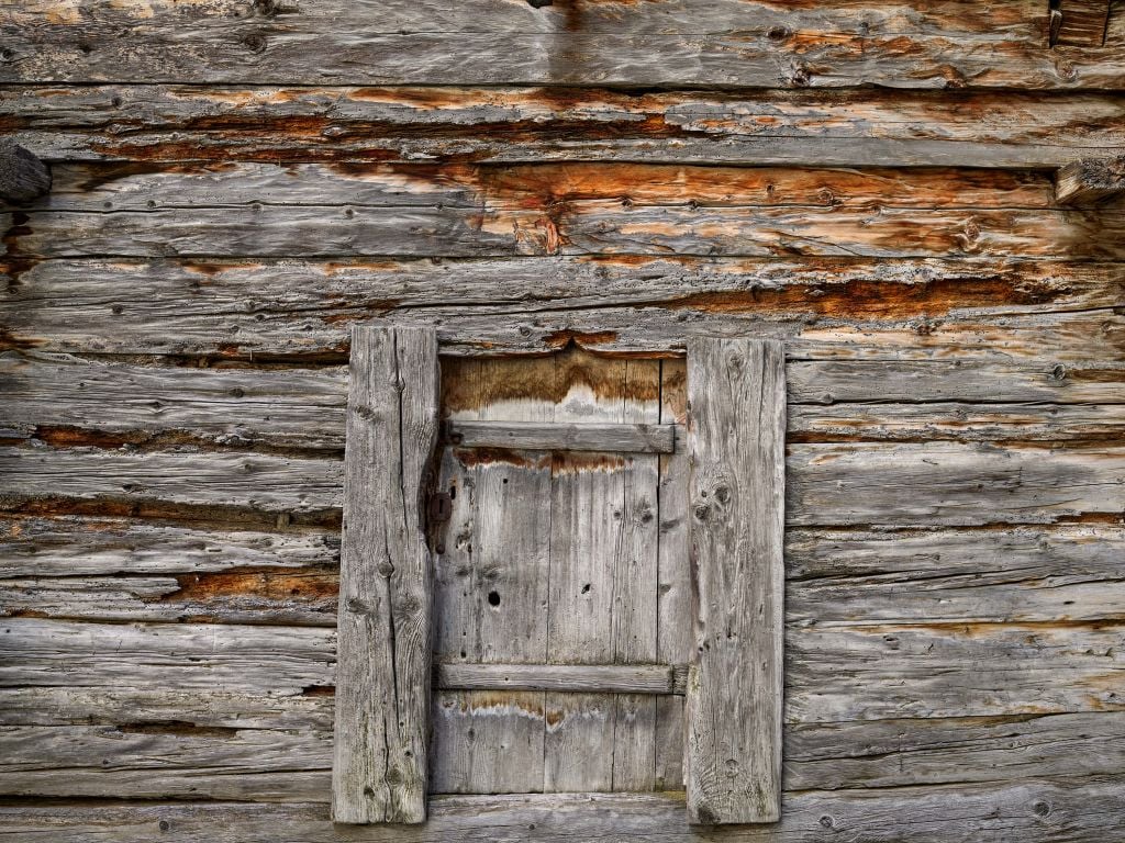 Vieux bois avec porte