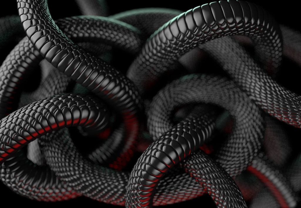 Serpents noirs