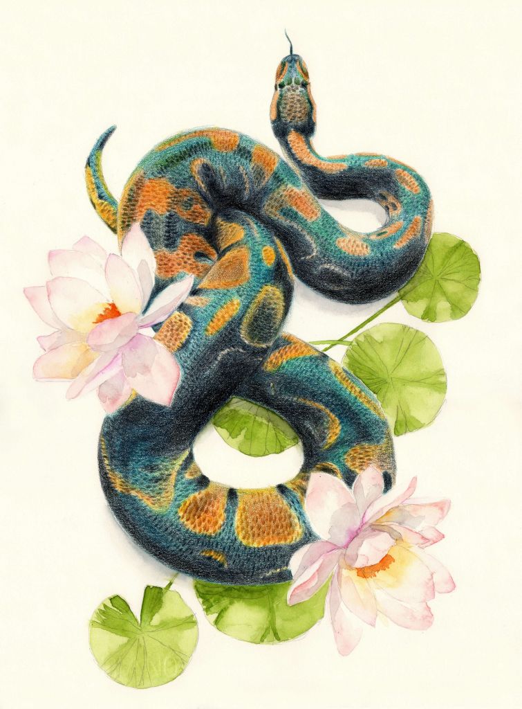 Serpent en aquarelle