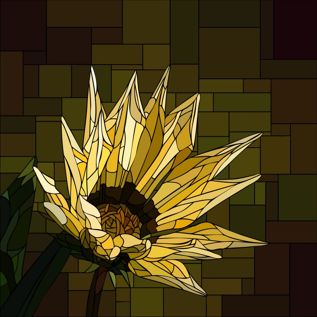 Gazania jaune en fleur