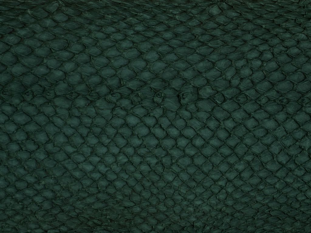 Texture de la peau du saumon en vert