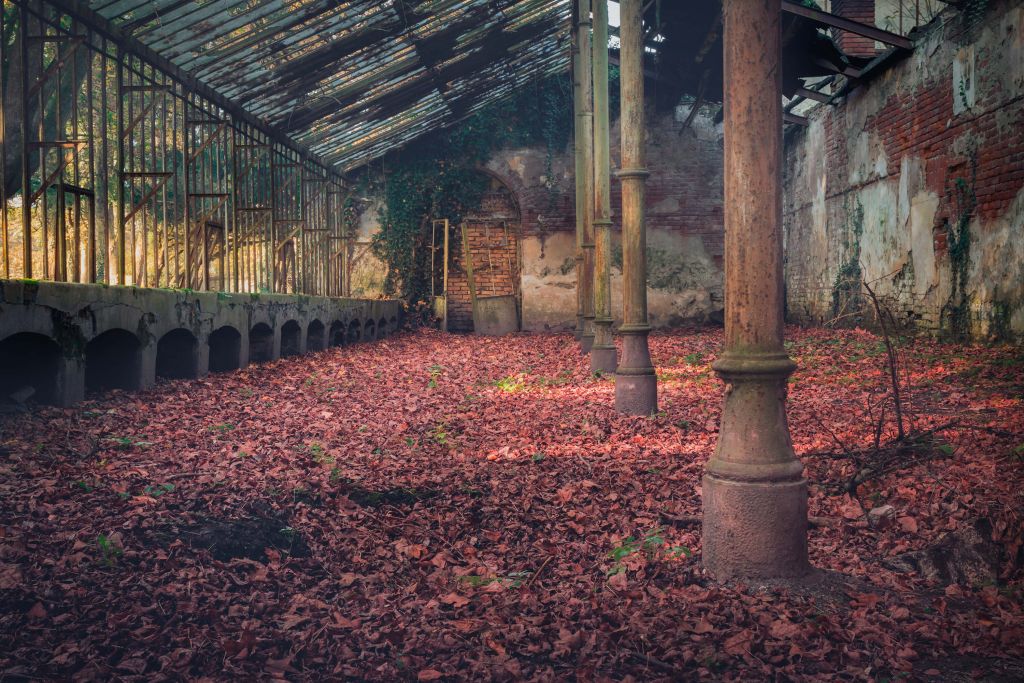 Maison abandonnée avec des feuilles