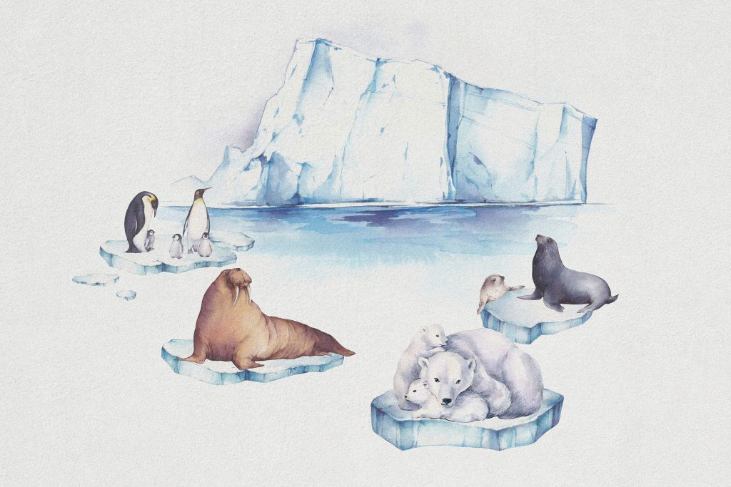 Animaux du monde de la glace