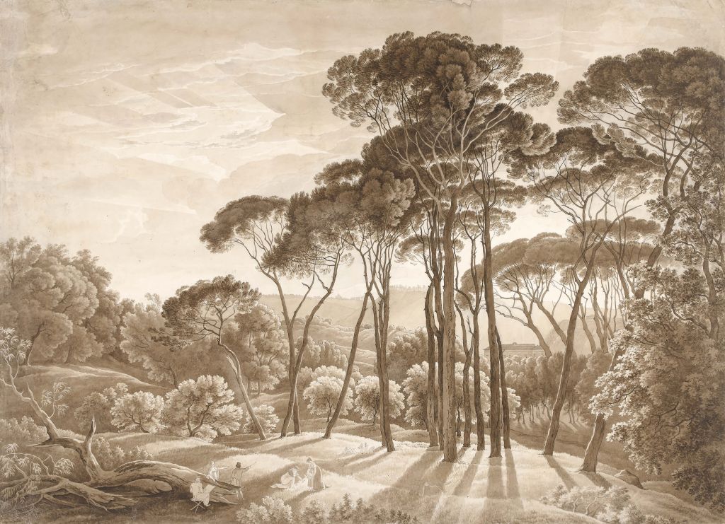 Paysage forestier près de Rome avec le soleil couchant