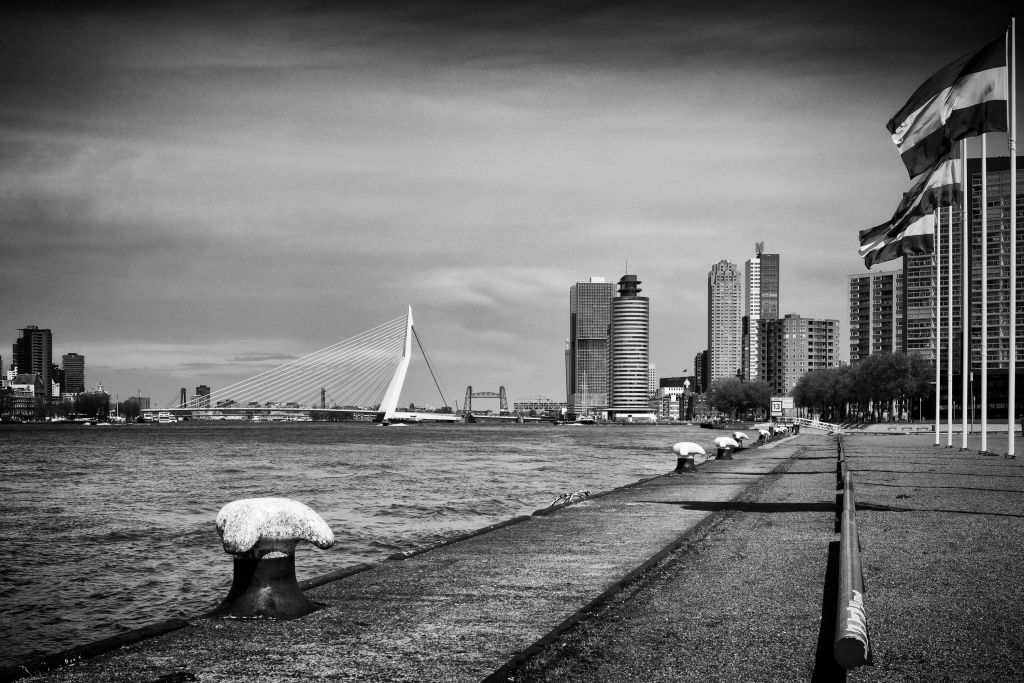 Ville portuaire mondiale Rotterdam 