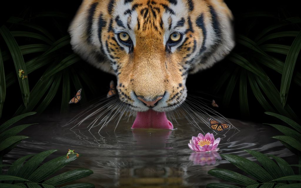 Tigre de la jungle