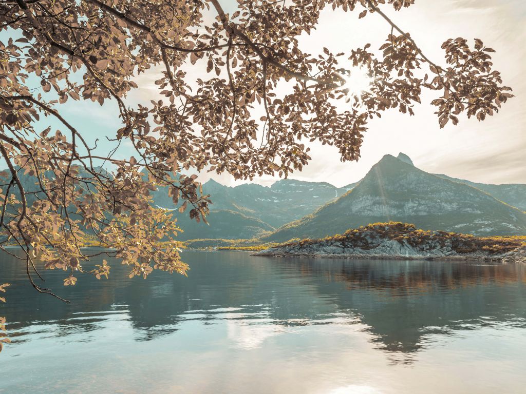 Un fjord norvégien