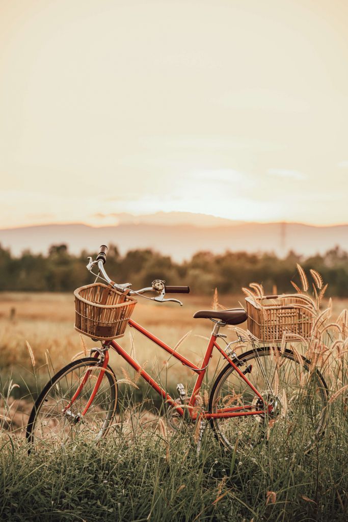 Vélo vintage en été