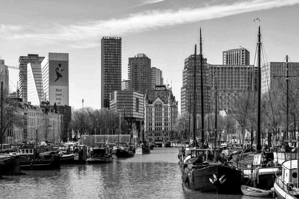 Vieux Port et Maison Blanche en Monochrome