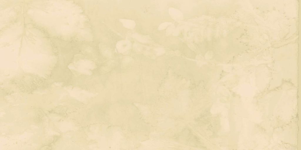 Sneeuwbes et mûre sauvage - jade