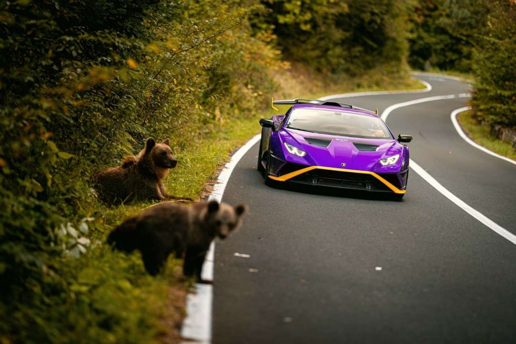 La nature rencontre la vitesse