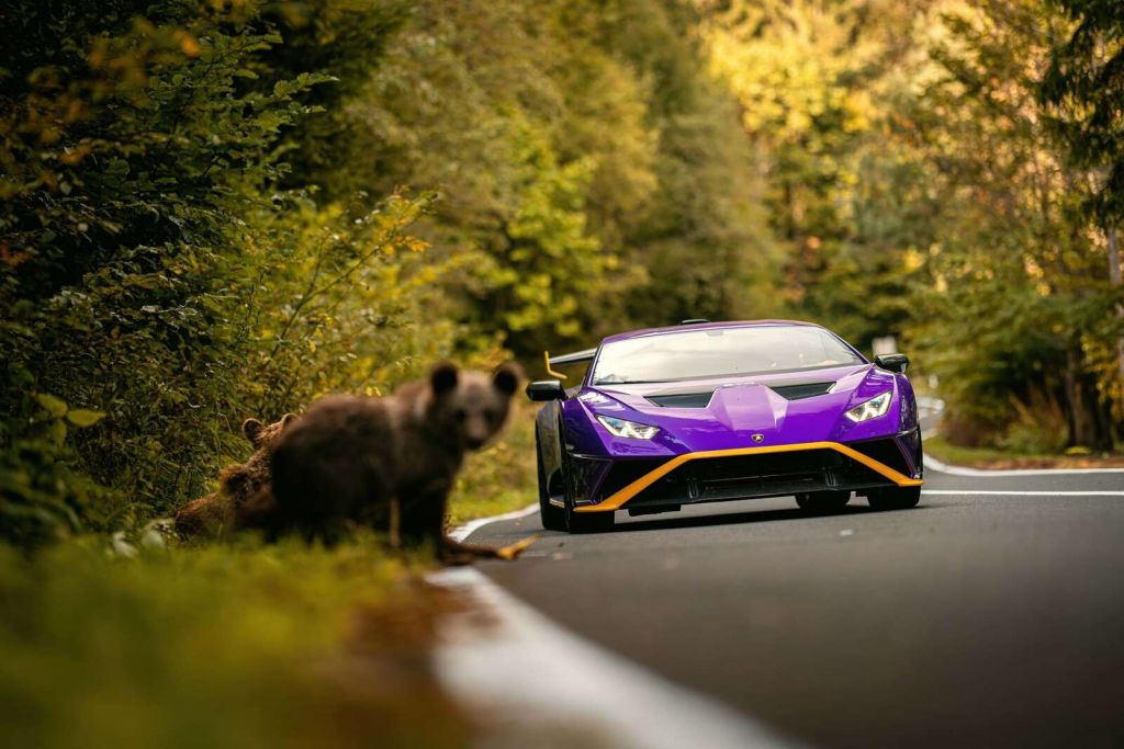 Lamborghini contre la nature