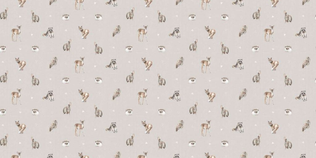 Amis de la Forêt Étape 01D