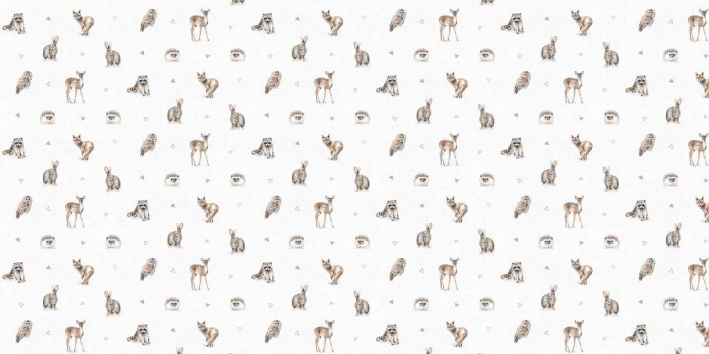 Amis de la Forêt Étape 01A