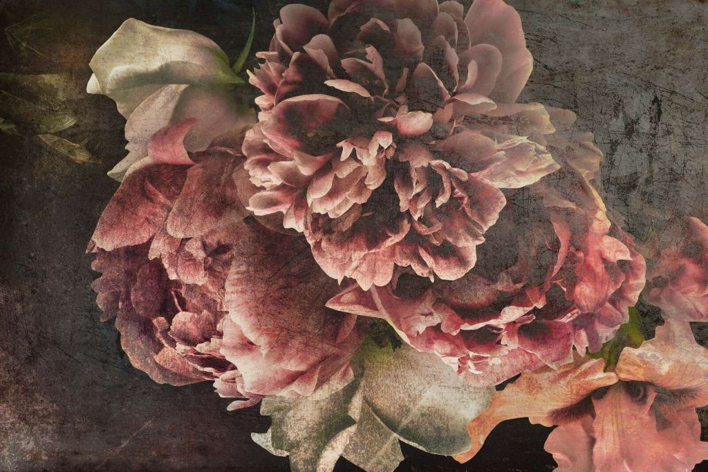 Opulence de pivoines romantiques sombres
