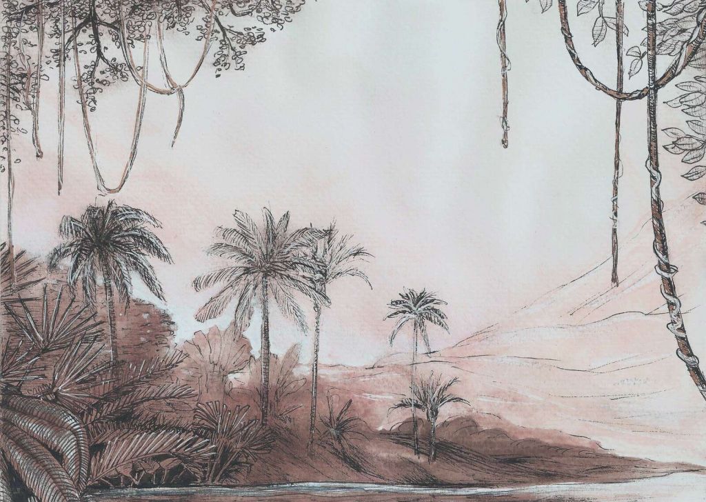 Vallée des palmiers dans la lumière rose