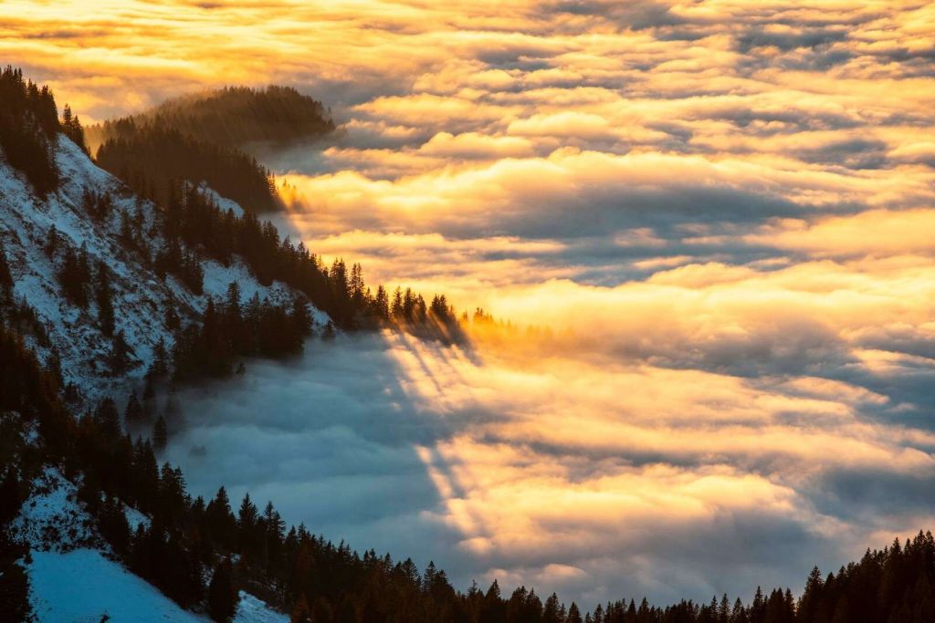 Lumière du soleil sur une forêt de montagne enneigée