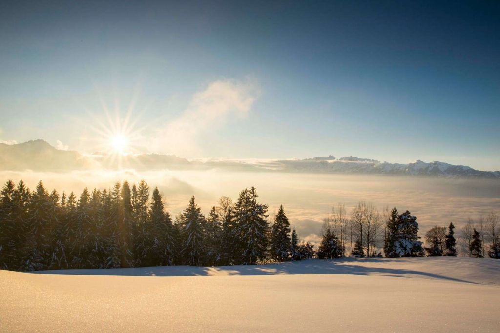 Lever de soleil au-dessus d'une forêt de sapins enneigée.